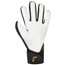 Găng Tay Thủ Môn Reusch Fastgrip Silver 5570200 7707