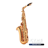  Kèn Conn selmer AS651 | Saxophone cao cấp 