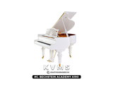  Grand Piano C. BECHSTEIN Academy A190 