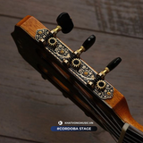  Đàn Guitar Cordoba Stage 