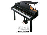  Piano Digital Roland RG 1F 
