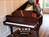  Grand Piano Yamaha C3 