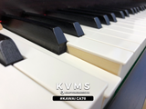  Piano Digital KAWAI CA78 | Kết nối bluetooth audio 