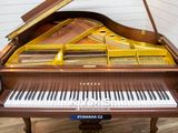  Grand Piano Yamaha G2 SW phong cách Châu Âu | Dòng Baby Grand chân cong cổ điển 