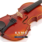  Đàn Violin Yamaha V7SG | Đàn violin full size 1/8 1/4 1/2 3/4 4/4 