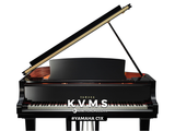  Grand Piano Yamaha C1X 