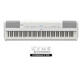  Piano Yamaha P525 | Portable Digital Piano | Đen - Trắng | New 2023 