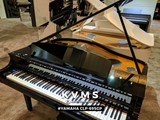  Piano Digital YAMAHA CLP 695GP 
