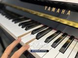  Piano Hybrid YAMAHA DUP 22 | Piano điện giả cơ 