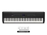  Piano Yamaha P525 | Portable Digital Piano | Đen - Trắng | New 2023 