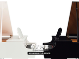  Piano Digital YAMAHA CLP 695GP 