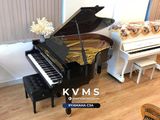  Grand piano Yamaha C3A | Đàn piano nguyên bản Japan series cao 