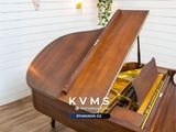  Grand Piano Yamaha G2 SW phong cách Châu Âu | Dòng Baby Grand chân cong cổ điển 