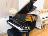  Grand piano Yamaha C3A | Đàn piano nguyên bản Japan series cao 