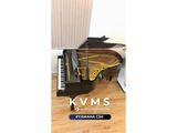  Grand piano Yamaha C3A | Đàn piano nguyên bản Japan series cao 