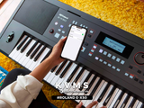  Đàn Organ roland EX50 | E-X50 