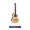  Guitar Takamine TH90 