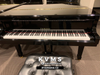  Grand Piano Yamaha C2 