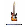  Đàn Guitar điện Fender Player Strat PLS TOP PF TBS 