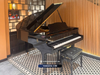  Grand Piano Yamaha C3B 