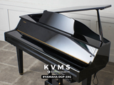  Piano Hybrid YAMAHA DGP 2 XG 