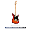  Đàn Guitar điện FENDER PLAYER STRATOCASTER® HSS PLUS TOP 