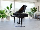  Piano Yamaha CLP 895 GP | CLP-800 series | Piano điện mới 2024 