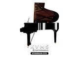  Grand Piano Yamaha C2X 