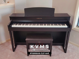  Piano Digital YAMAHA CLP 440 | Piano cho người mới bắt đầu 