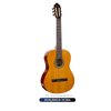  Guitar Valencia VC264 | đàn Guitar Classic New 