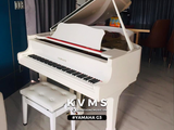  Grand Piano Yamaha G3 