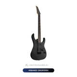  Đàn Guitar điện Ibanez GRGR131EX 
