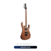  Đàn Guitar điện Ibanez RG421 