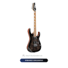  Đàn Guitar điện Ibanez GRG220PA1 