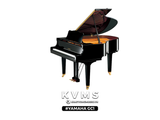  Grand Piano Yamaha GC1 