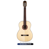  Đàn Guitar Classic Guitar Cordoba C7 SP 
