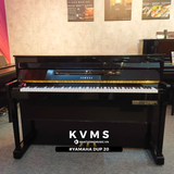  Piano Hybrid YAMAHA DUP20 