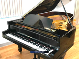  Grand piano Yamaha G7 | Đàn piano nguyên bản Japan 