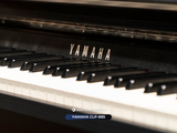  Piano Yamaha CLP 885 | CLP-800 series | Piano điện mới 2024 