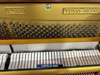  Piano Upright APOLLO A350 