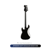  Đàn Guitar Bass Fender Duff Mckagan Signature Deluxe Precision 