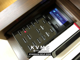  Piano Digital YAMAHA SCLP 5350 | Piano điện nội địa Nhật 