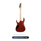  Đàn Guitar điện Ibanez GRGR221PA AQB 