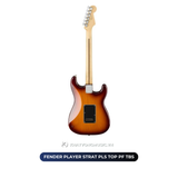  Đàn Guitar điện Fender Player Strat PLS TOP PF TBS 