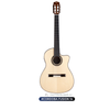  Guitar Cordoba Fusion 14 | đàn Guitar Classic New 