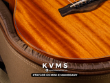  Đàn Guitar Acoustic Taylor GS Mini-e Mahogany 