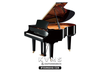  Grand Piano Yamaha C2X 