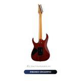  Đàn Guitar điện Ibanez GRG220PA1 