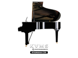  Grand Piano Yamaha C3X 