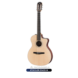  Guitar Taylor 214CE-N | Đàn Guitar Classic chính hãng 